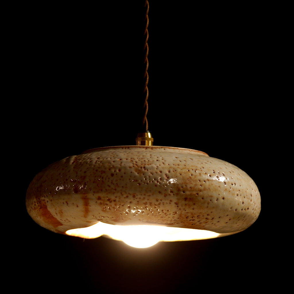 作地未詳｜美濃焼(?)｜土｜鉄点｜ペンダントライト