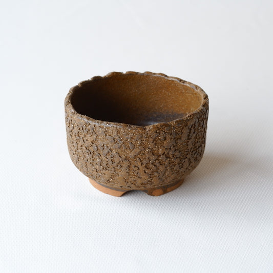 【早期購入】作地未詳｜土｜割高台｜ペンダントライト