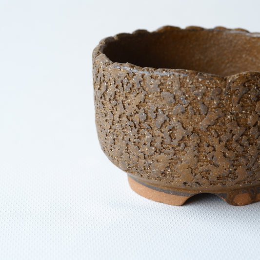 【早期購入】作地未詳｜土｜割高台｜ペンダントライト